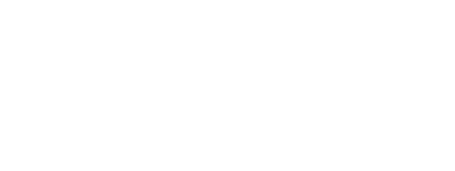 BVIOSA